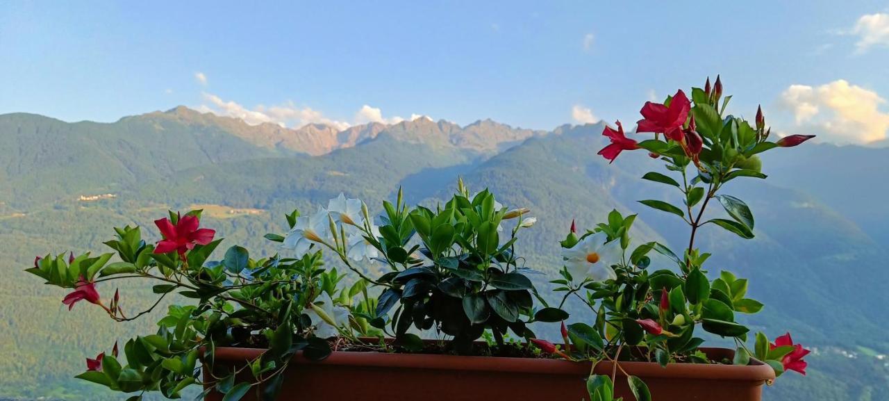 Palazzo Juvalta Bed and Breakfast Teglio Buitenkant foto